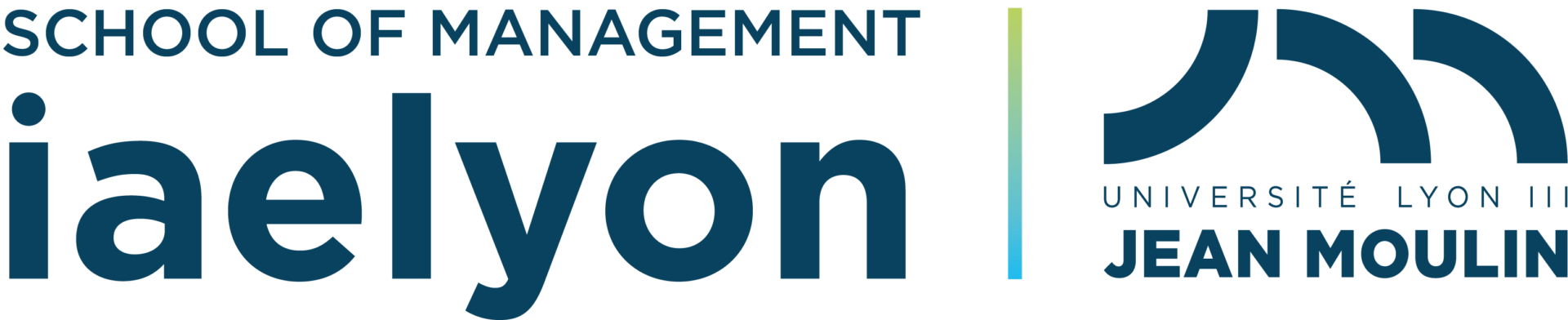 IMBA – iae Lyon 3